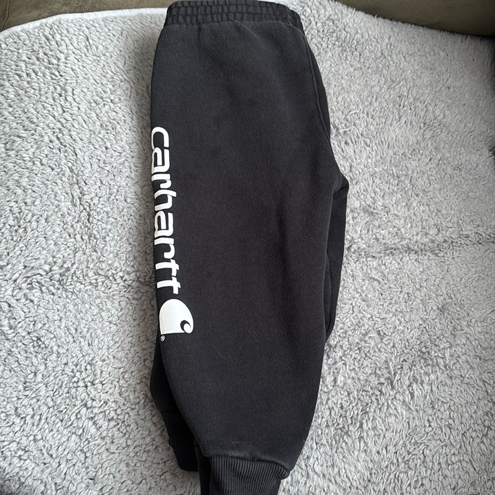 Carhartt sweats. Size 24 months cut a little big.
